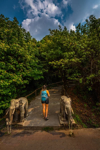 Турист на початку стежки в Дой Inthanon Національний парк Нера Чіанг — стокове фото