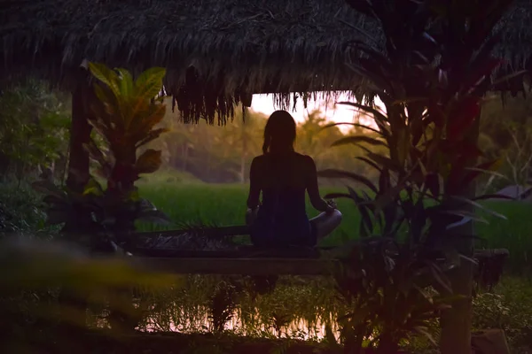 Молода жінка роздумує в позі лотоса на рисовому полі в бамбуку — стокове фото