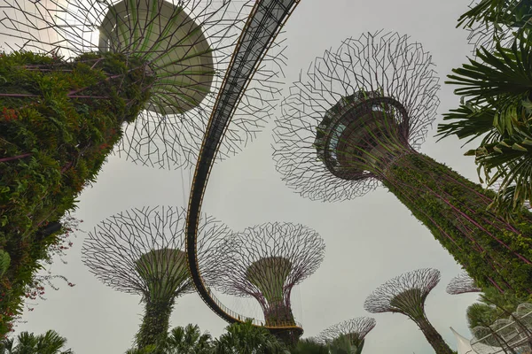 Super Tree Groove, zahrada u zátoky, Singapur — Stock fotografie