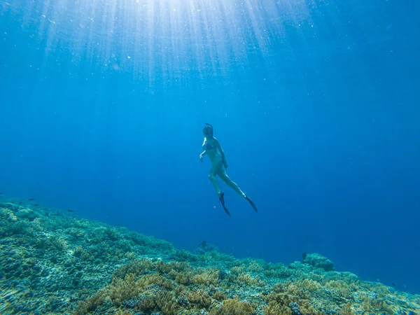 Menina freediving em mar claro Sudeste Asiático — Fotografia de Stock