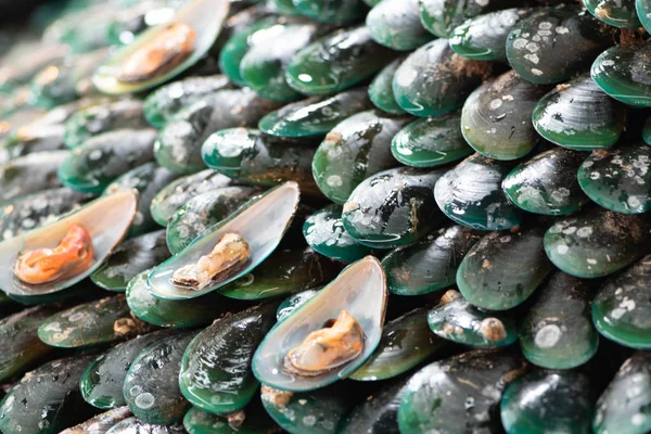 Färska råa musslor till försäljning till turister på Thailands gata — Stockfoto