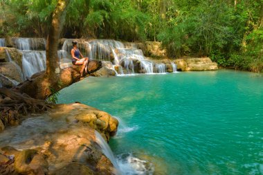 Tat Kuang Si Şelaleleri Luang Prabang Kuzey Laos Genç Kadın ağaç gövdesinde poz veriyor 