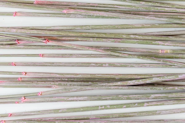 Пшеничные Стволы Белом Фоне Текстуры Дизайна Фона — стоковое фото