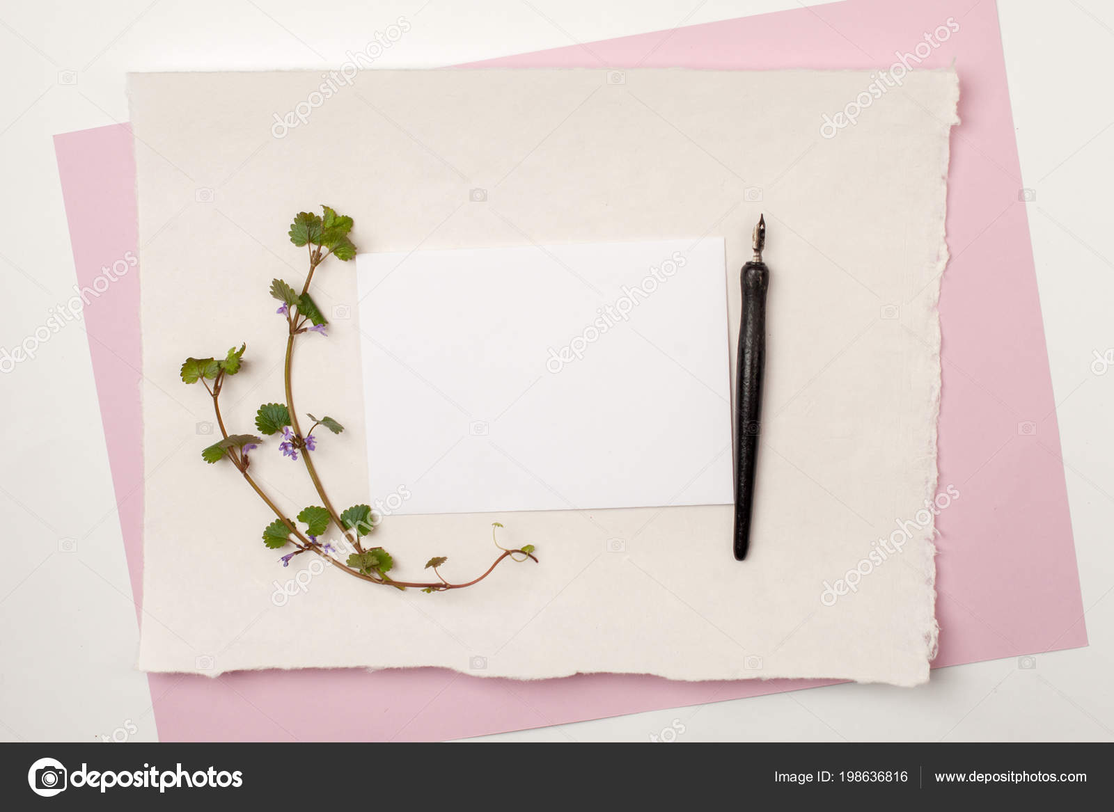 Mock Blank Paper Cards Wedding Invitation Calligraphy Wedding ...
