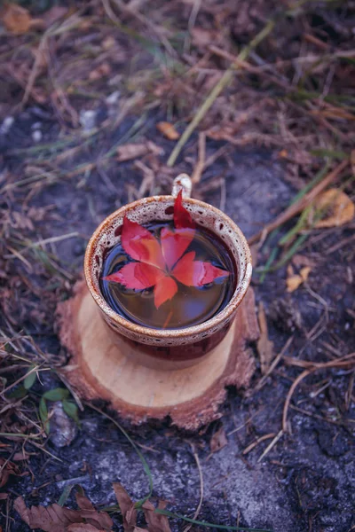 Autumn leaves and hot steaming cup of herbal tea with red leave on wooden stand. Fall season, leisure time and tea time break concept.