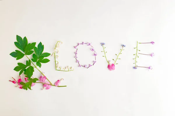 Word love made out of flower and leaves. Flat lay. Love spring s