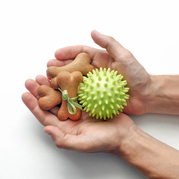 hand holding present for dog or puppy - chew green ball and bone