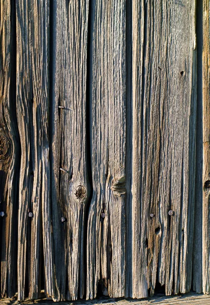 Old Textured Tree Retro Wood — Stock Photo, Image