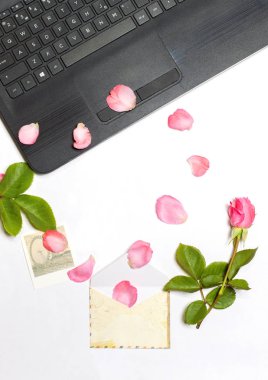 Masaüstü, zarf, gül, kartları