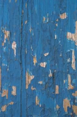  bir ağaç soyma eski boya