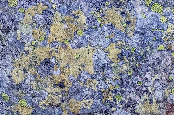 Kámen Mikroorganismy Plíseň Texturou Staré Kamenné Textury Pozadí Kamenný Hon — Stock fotografie