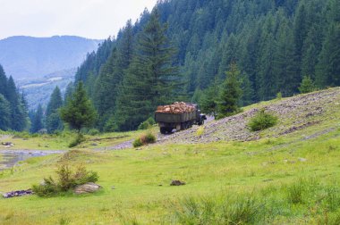 Orman, Otoban, dağlar, kamyon, Araba, günlükleri, oduncu, ormansızlaşma Ukrayna, ekolojik felaket, araba iz, günlükleri orman