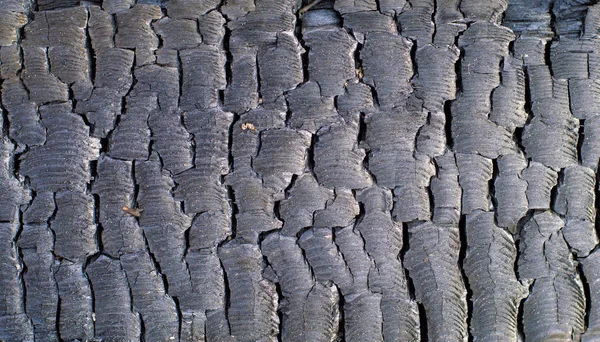 Madera Quemada Textura Fondo Fuego Brasas Leña Madera Quemado Textura —  Fotos de Stock