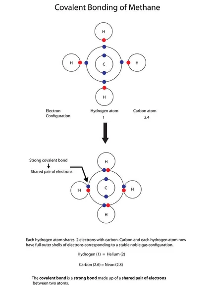 Diagrama Para Ilustrar Unión Covalente Metano Con Diagrama Completamente Etiquetado — Vector de stock