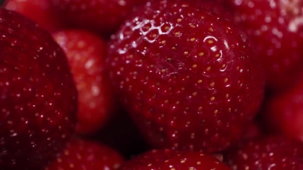Frische Erdbeere Nahaufnahme 360 Grad Drehung Lebensmittelhintergrund — Stockvideo