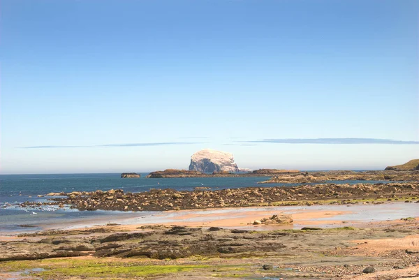 Blick Auf Den Bass Rock Vom Strand North Berwick — Stockfoto