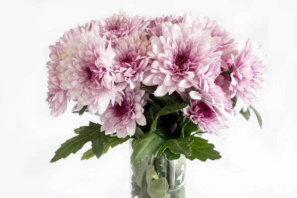 Bouquet Wild Daisies White Background — Stock Photo, Image