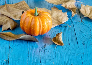 Kabak hallowen kuru sonbahar yaprakları tarafından çevrili