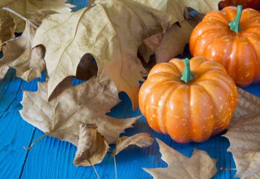 Kabak hallowen kuru sonbahar yaprakları tarafından çevrili