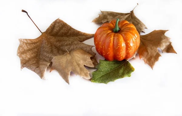 乾燥した秋葉に囲まれたカボチャの Hallowen — ストック写真