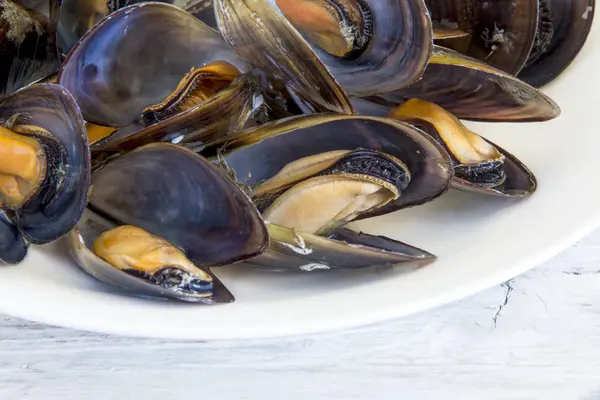 Mejillones Vapor Servidos Plato —  Fotos de Stock