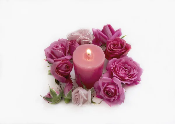 Osvětlená růžová svíčka obklopená přírodními růžemi — Stock fotografie