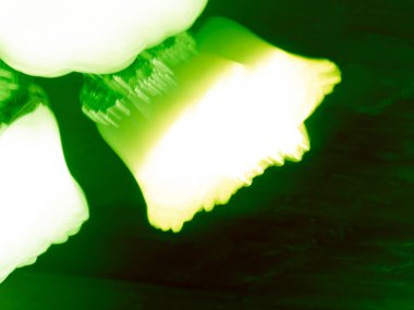 Yeşil arkaplandaki avizeden çıkan ışık soyutlamaya dönüşüyor