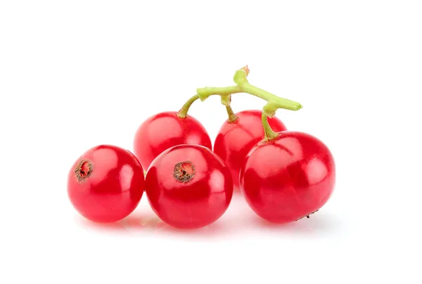 Isolerade Bär Röda Vinbär Frukter Som Närbild Vit Bakgrund — Stockfoto