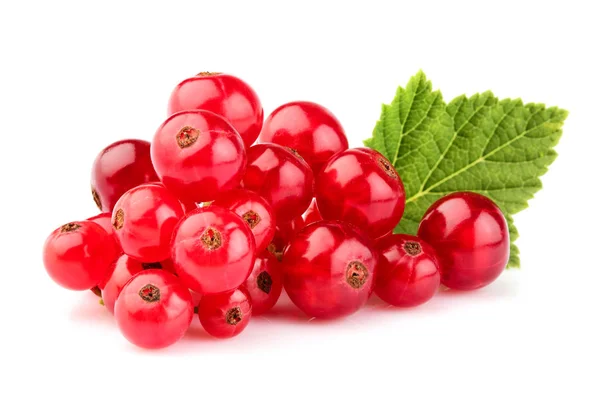  Frenk üzümü meyve yaprak closeup ile demet.