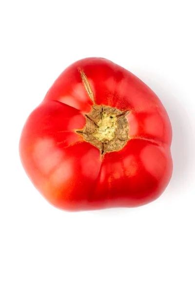 Homemade Tomato Ecological Tomato Closeup White Top View — Stock Photo, Image