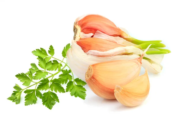 Knoblauch Mit Petersilie Closeup Isolated Auf Weißem Hintergrund — Stockfoto