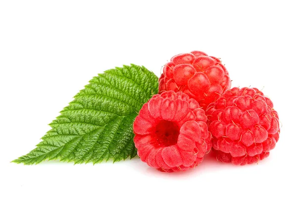 Fresh Sweet Raspberry Leaf Isolated White Background — Stock Photo, Image