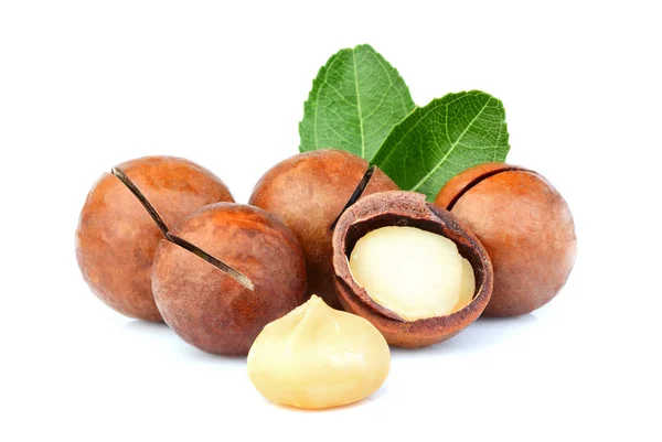 Geschälte Und Ungeschälte Macadamia Nüsse Mit Blatt Auf Weißem Hintergrund — Stockfoto