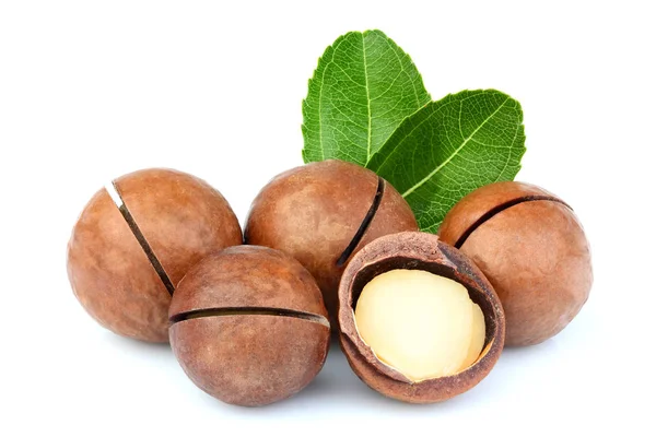 Die Macadamia Nüsse Mit Blatt Nahaufnahme Auf Weißem Hintergrund — Stockfoto