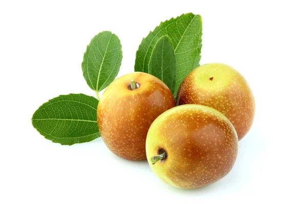 Jujube Frukter Med Blad Som Närbild Vit Bakgrund Kastanj — Stockfoto