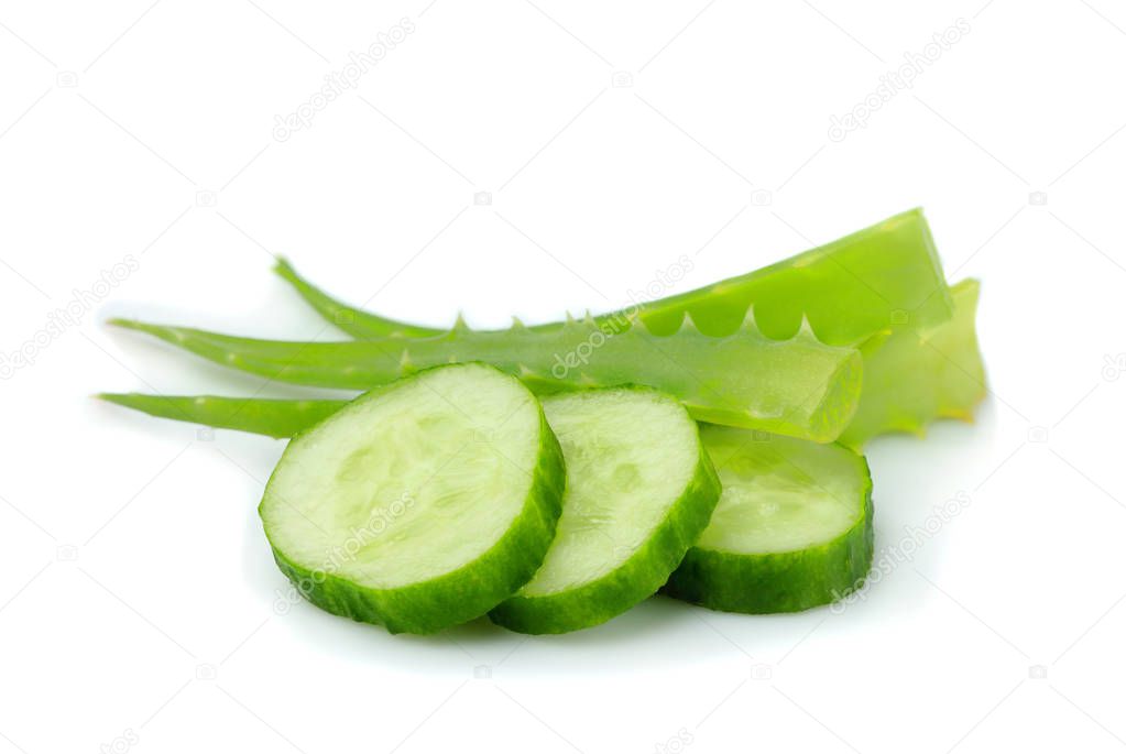 Aloe Vera with sliced cucumbers.Isolated close-up on white background.