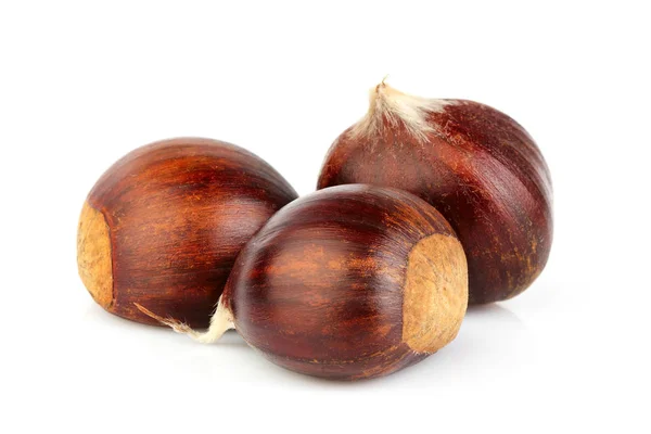 Chestnuts Isolated Macro White Background Hippocastanum — Stock Photo, Image