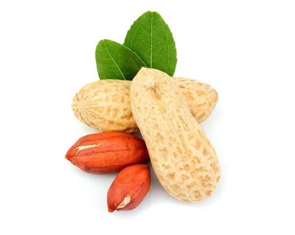 Peanut Close Leaves Isolated White Background — Stock Photo, Image