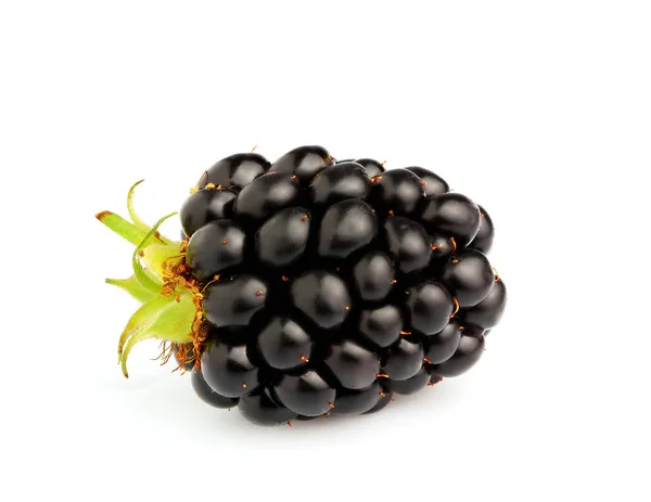 Blackberry Closeup White Background — Stock Photo, Image