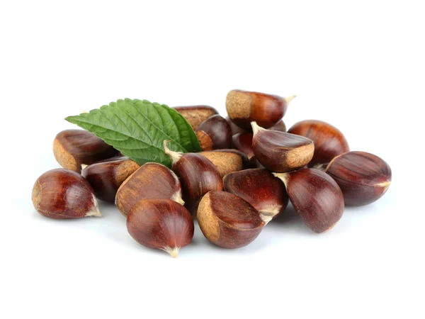 Hippocastanum Chestnuts Met Bladeren Geïsoleerd Witte Achtergrond — Stockfoto