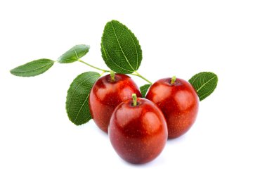  Ziziphus; Hünnap meyve ile izole üzerinde beyaz arka plan bırakır.