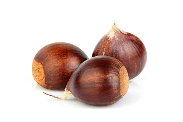 Hippocastanum.Chestnuts geïsoleerd. — Stockfoto