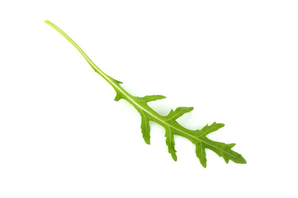 Rucola eller rucola blad isolerade. — Stockfoto