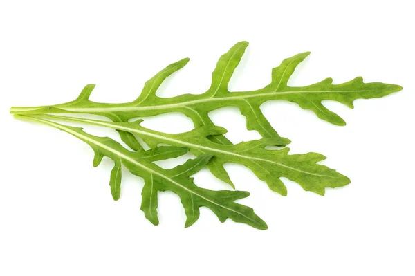 Fresh arugula herb leaves isolated. — Stock Photo, Image