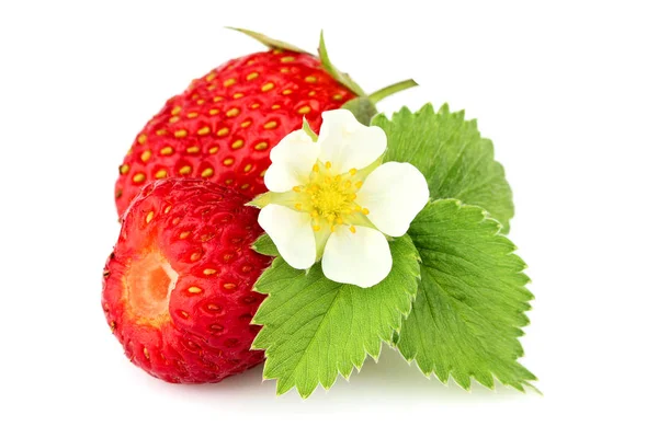 Homemade strawberry with strawberry leaves and flower isolated. — Stock Photo, Image