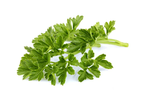 Sprig of fresh homemade parsley isolated. — Stock Photo, Image