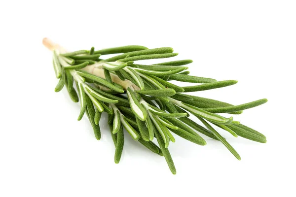 Twig of rosemary isolated. — Stock Photo, Image