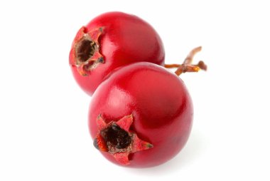 Kızıl dikenli böğürtlenleri yakından çek. Beyaz bir arka planda izole edilmiş. Tıbbi böğürtlen.