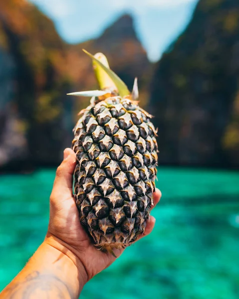 Mannelijke Hand Vasthouden Van Ananas Met Zee Rotsen Achtergrond — Stockfoto