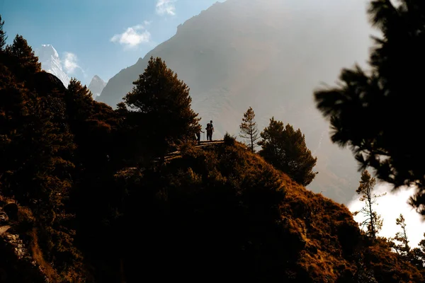 Vista Distante Caminhantes Com Mochilas Cena Nebulosa Montanhosa — Fotografia de Stock